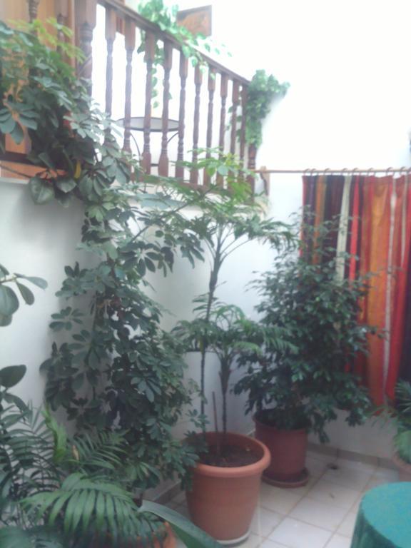 Hotel Kassandra Kala Nera Dış mekan fotoğraf