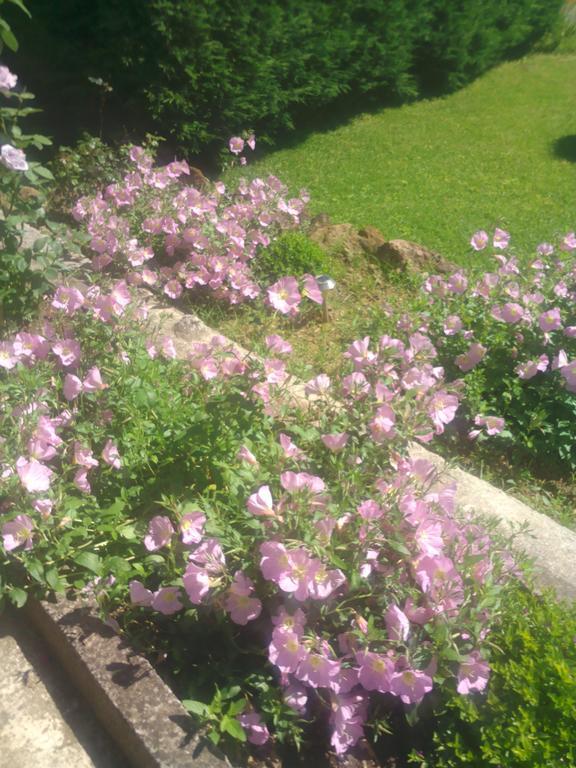 Hotel Kassandra Kala Nera Dış mekan fotoğraf